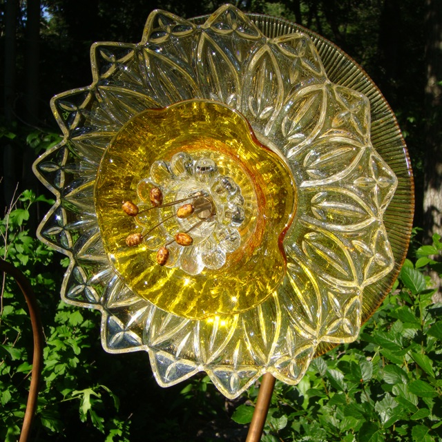 Plate Bloomer #1