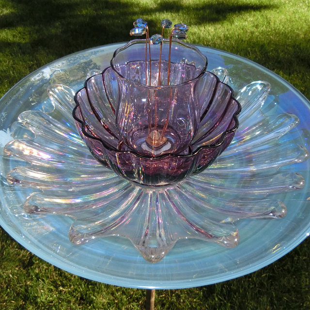 Plate Bloomer #116