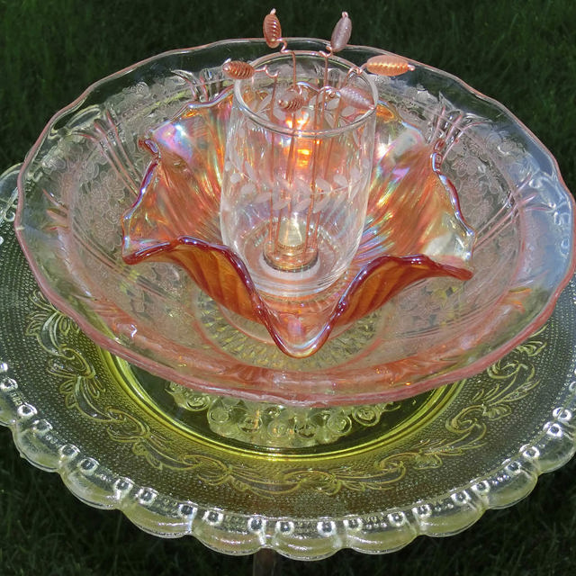 Plate Bloomer #169