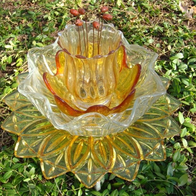 Plate Bloomer #17