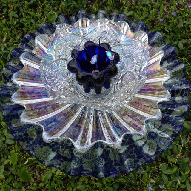 Plate Bloomer #37