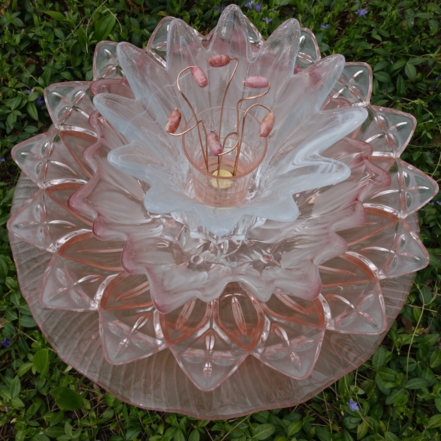 Plate Bloomer #40