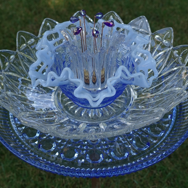 Plate Bloomer #71