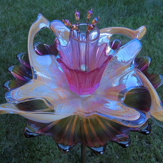 Plate Bloomer #221