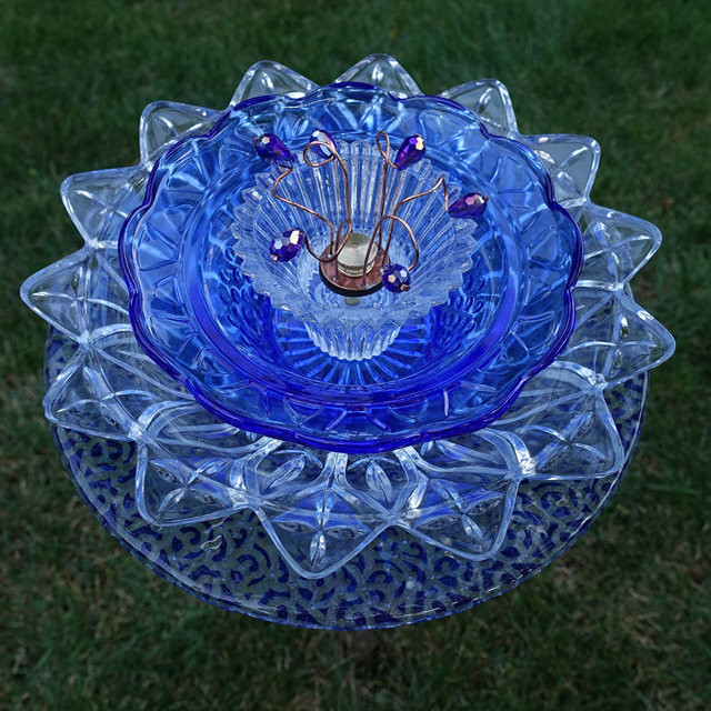 Plate Bloomer #66